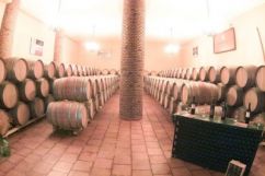 bodegasbernarda3