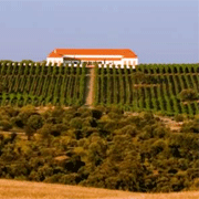 bodegaspalacioquemado2