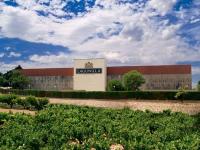 bodegaslagunilla2