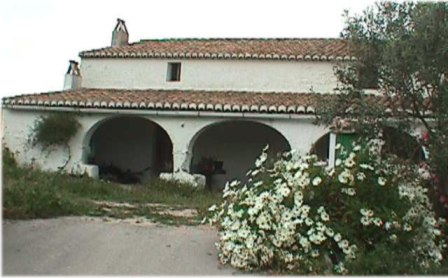 Logo de la bodega Bodega Coop. San Vicente Ferrer 