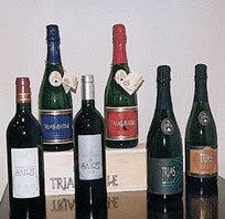 bodegasjtrias_botella