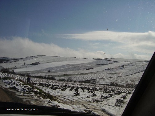 bodegasgalanportero2