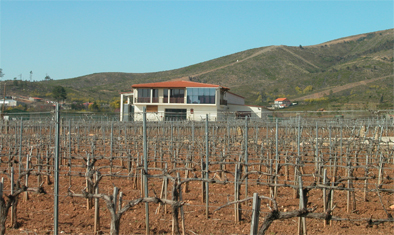 bodegastapiasmarinhan2