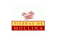 Logo de la bodega Tierras de Molina