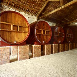 bodegaspedromasana1