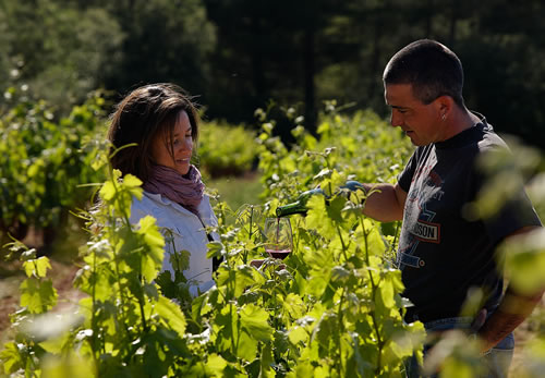 bodegascarlania1