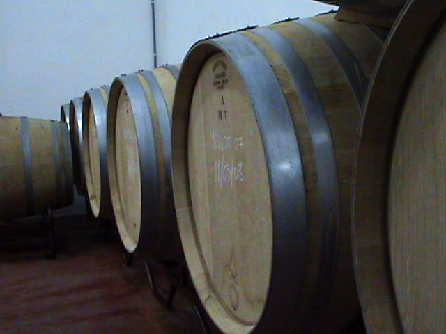 bodegascarlania4