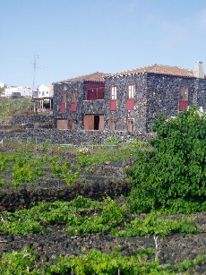 bodegascasadelvolcan2