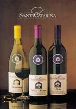 bodegasantacatarina_botella