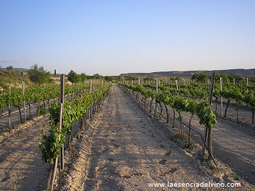 bodegadomingoquiles3