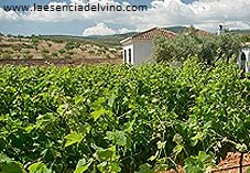 bodegassenorionevada1