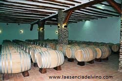 bodegasmendezmoya2