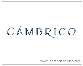 Logo from winery Bodega Viñas del Cámbrico
