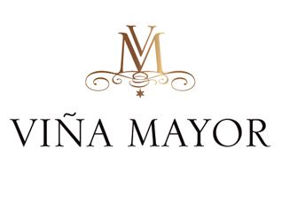 Logo from winery Bodegas y Viñedos Viña Mayor