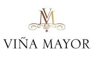 Logo de la bodega Bodegas y Viñedos Viña Mayor