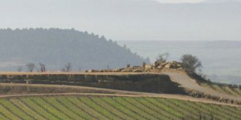 vinyedossierracantabria1