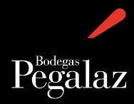 Logo from winery Bodegas Pegalaz