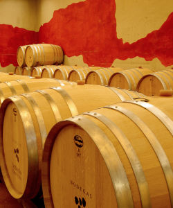 senyoriocincovillas2