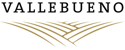Logo de la bodega Bodega Vallebueno