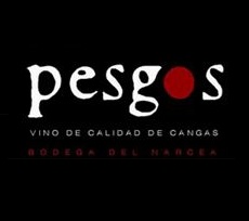 Logo de la bodega Bodega Pesgos