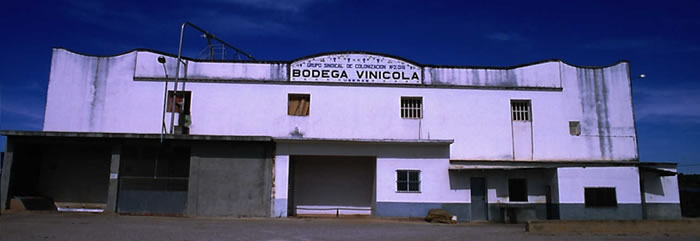 bodegalesuseres1