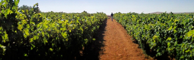 bodegasalaude1