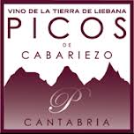 Logo von Weingut Bodegas Picos de Cabariezo