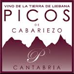 Logo de la bodega Bodegas Picos de Cabariezo