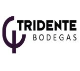 Logo from winery Bodegas Tritón - Bodegas Tridente