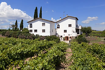 bodegascellerscarol2