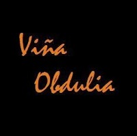Logo from winery Bodegas Viña Obdulia