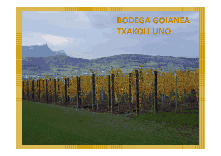 bodega_goianea1