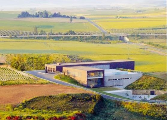 bodegasmarquesdeteran1