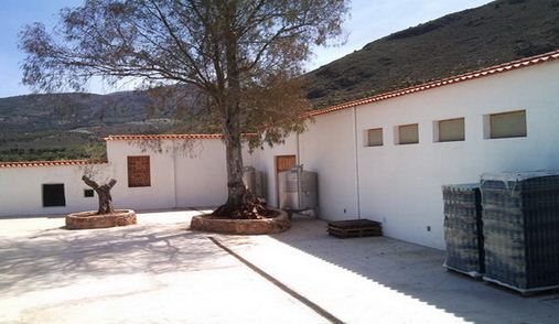 bodegascortijoelcura1