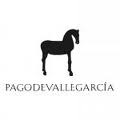 Logo de la bodega Bodega Pago de Vallegarcía