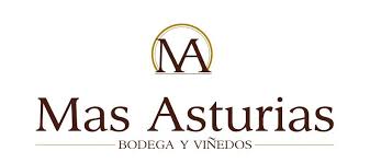 Logo from winery Bodegas Y Viñedos Mas Asturias