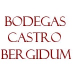 Logo de la bodega Castro Bergidum