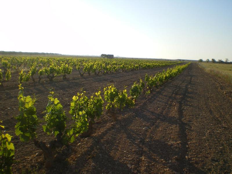 bodegadcuevadmonegro2