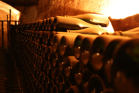 bodegasmontaudesadurni3