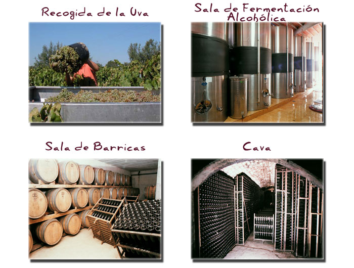 bodegasmascodina2