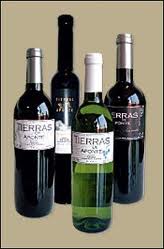 bodegastierrasdeaponte_botella