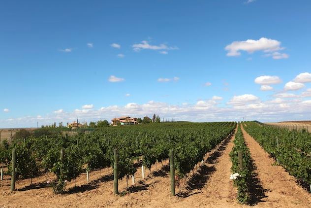 heredaduruenavinyedo