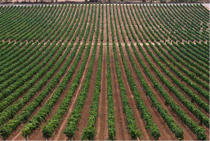 garciacarrionruedavinedo