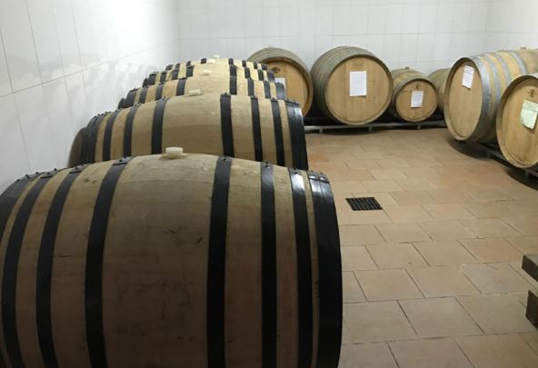 rodrigo_mendez_barricas