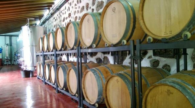 vinos1861_barricas