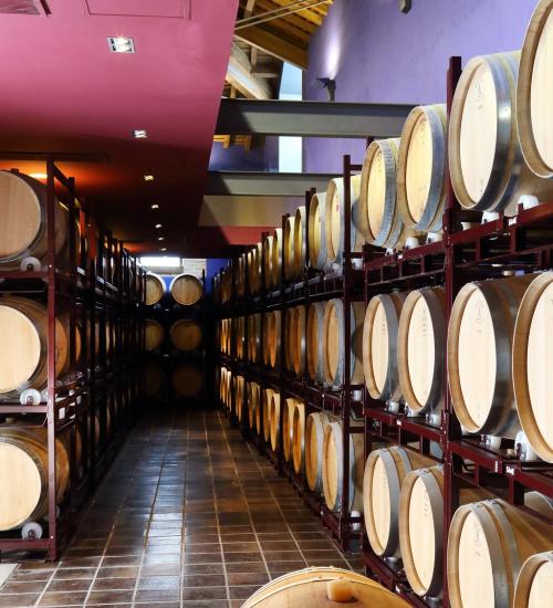 tierras_de_orgaz_barricas