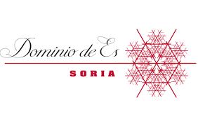 Logo de la bodega Bodega Dominio de Es