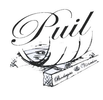 Logo from winery Bodegas y Viñedos Puil