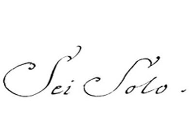 Logo de la bodega Sei Solo Bodegas y Viñedos