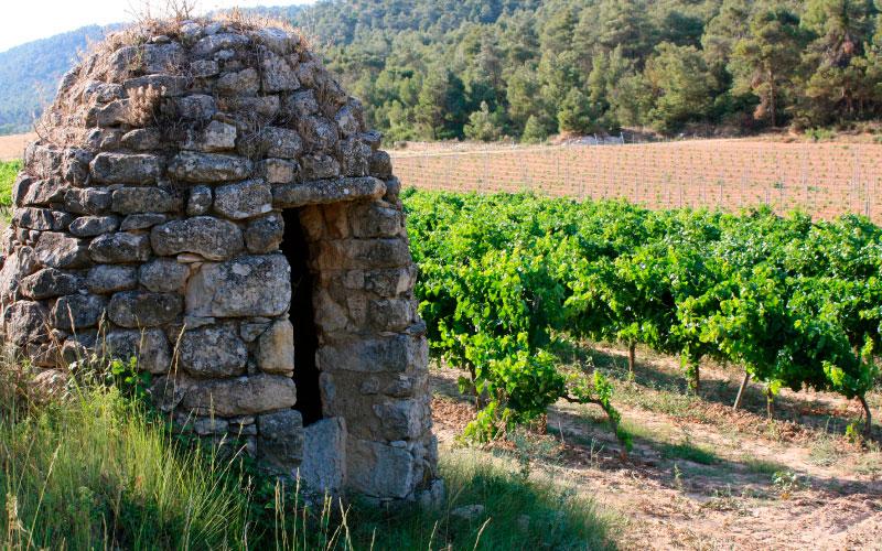 matallonga_bodega